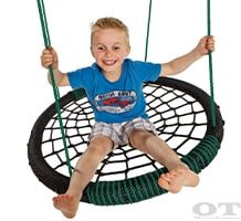 web spider nest swings