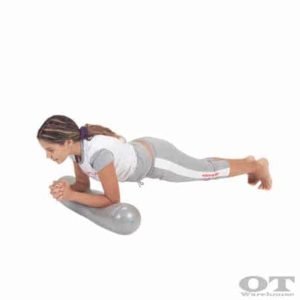 roller-fitball