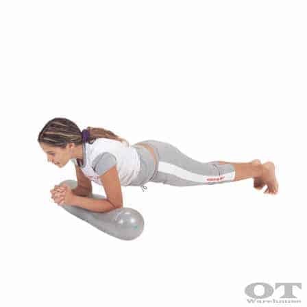 roller-fitball