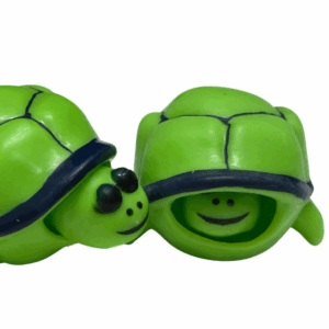 _tucker the pop head turtle fidget