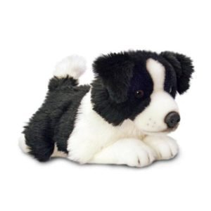 Weighted Dog