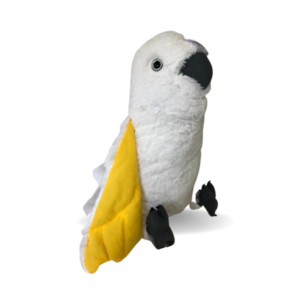 Weighted Birds