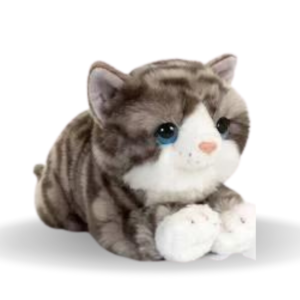 Weighted Cat