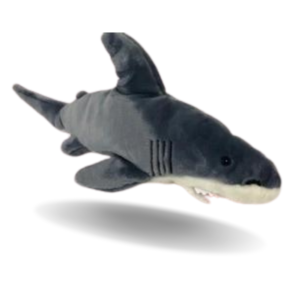 weighted Shark