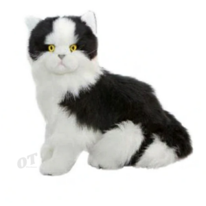 Angus the piebald cat 1kg