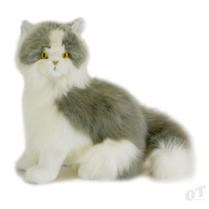 Henretta the Norwegian Grey Cat 1kg