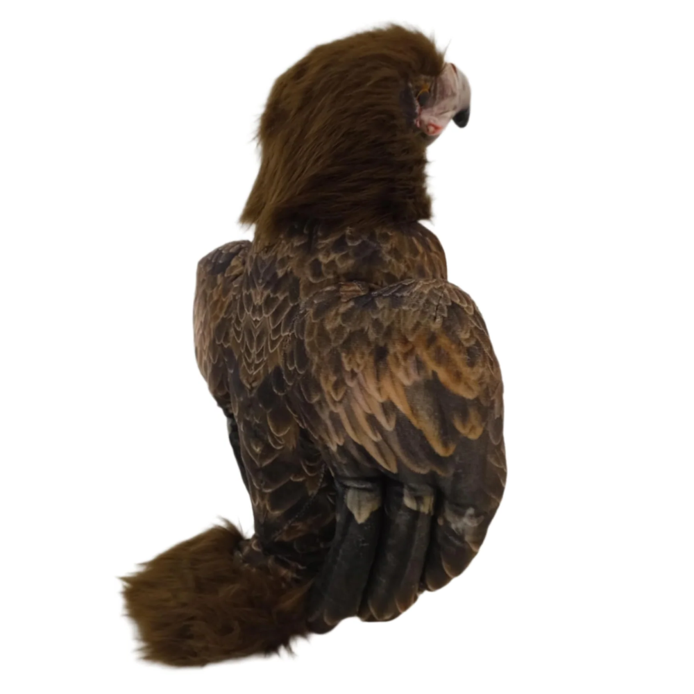 Louise the Wedge Tail Eagle Plush Toy Bird 1KG