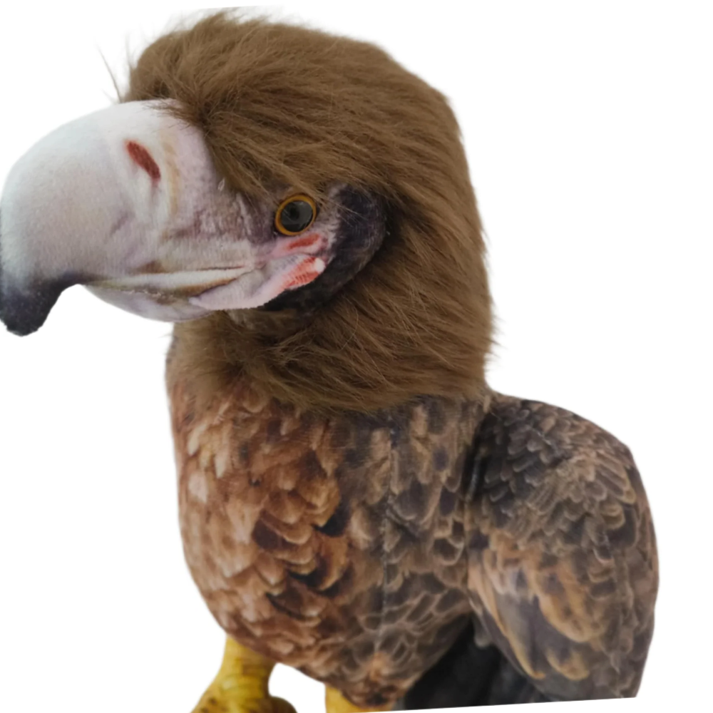 Louise the Wedge Tail Eagle Weighted Bird 1KG