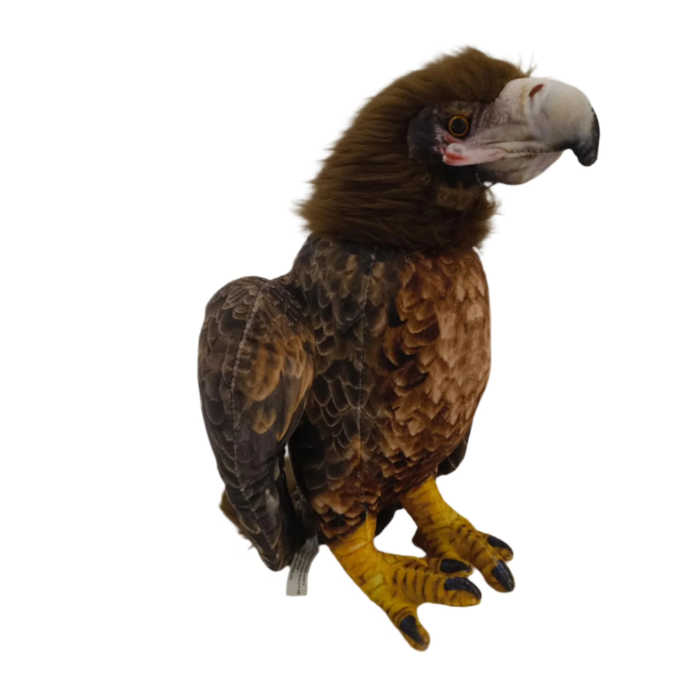 Louise the Wedge Tail Eagle Weighted Bird Toy 1KG